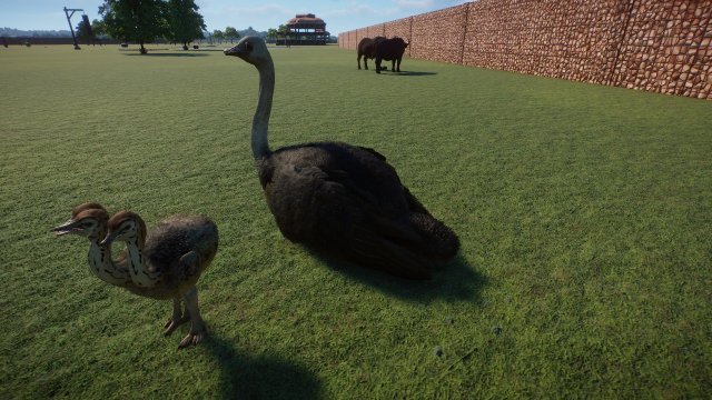 Mod image
